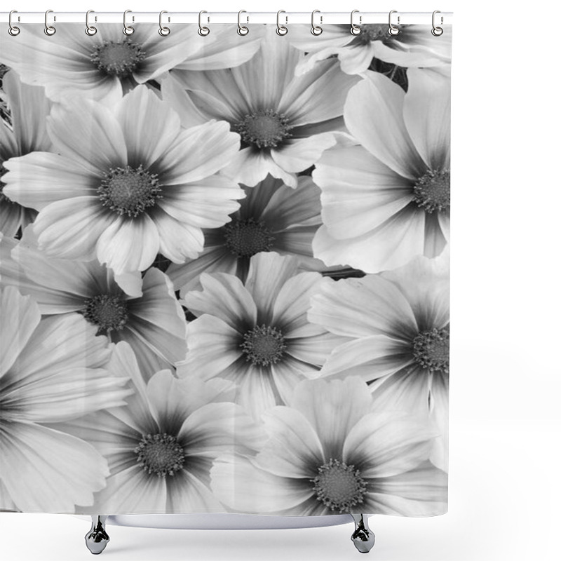 Personality  Blooming Cosmos Flowers In Black And White Shower Curtains