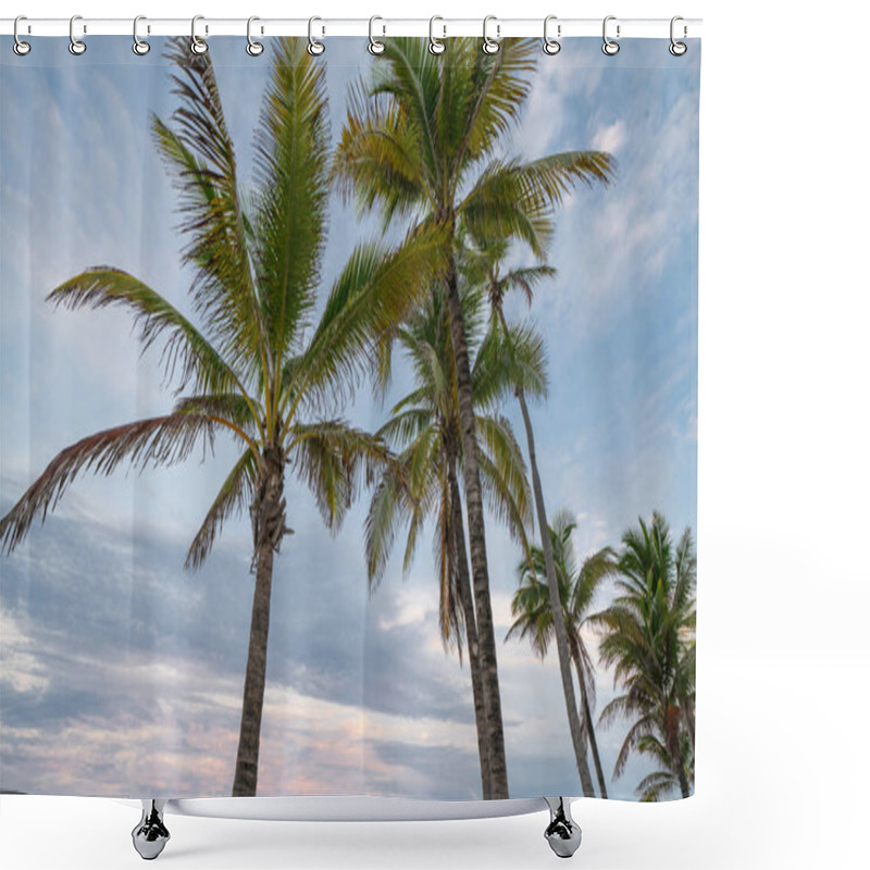 Personality  Palm Trees On A Nice Twilight Sky Shower Curtains