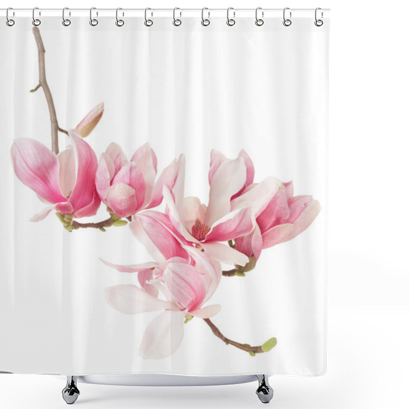 Personality  Magnolia, Spring Pink Flower Branch And Buds On White Shower Curtains