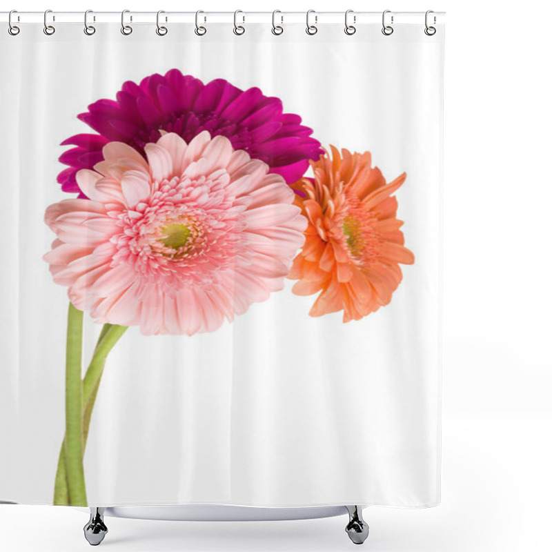 Personality  Bunch Of Gerberas Shower Curtains