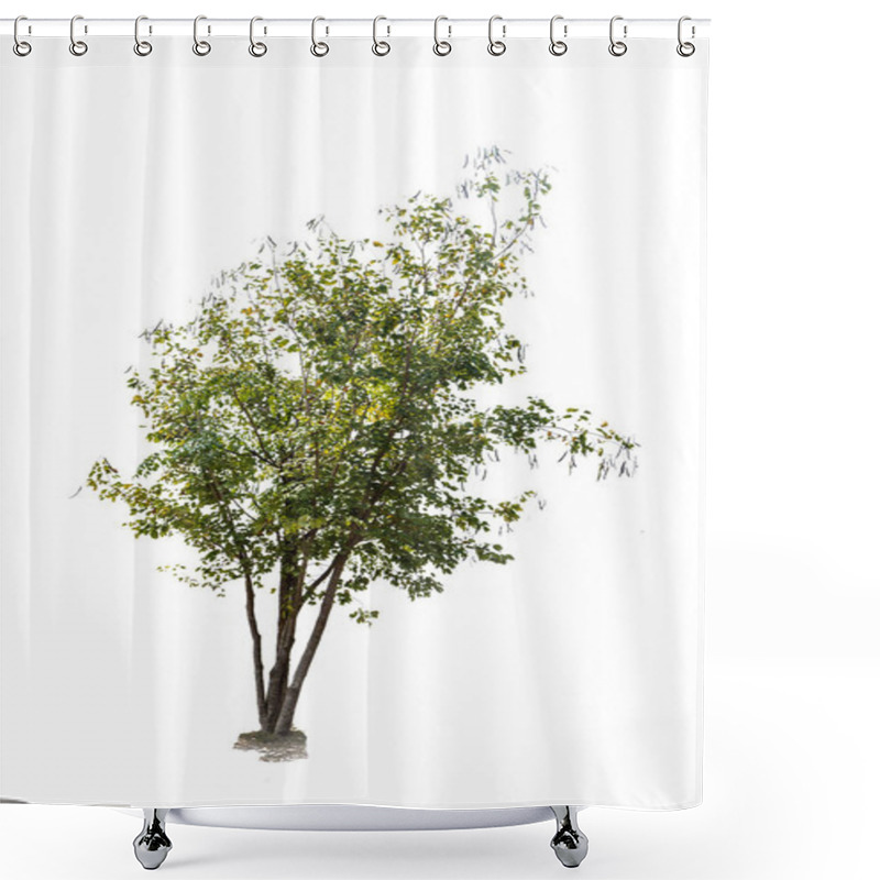 Personality  Tree Isolated On White Background Shower Curtains