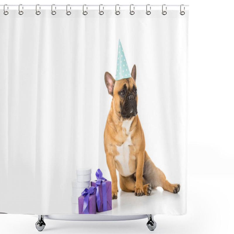 Personality  French Bulldog In Party Cone Sitting Near Wrapped Gifts Isolated On White Shower Curtains