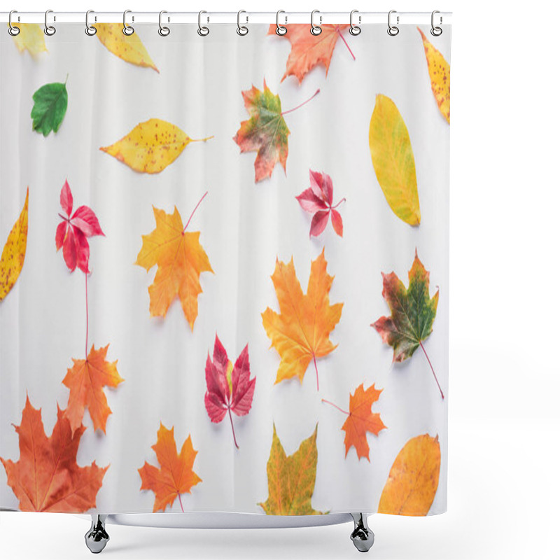 Personality  Top View Of Scattered Autumnal Leaves Isolated On White Shower Curtains