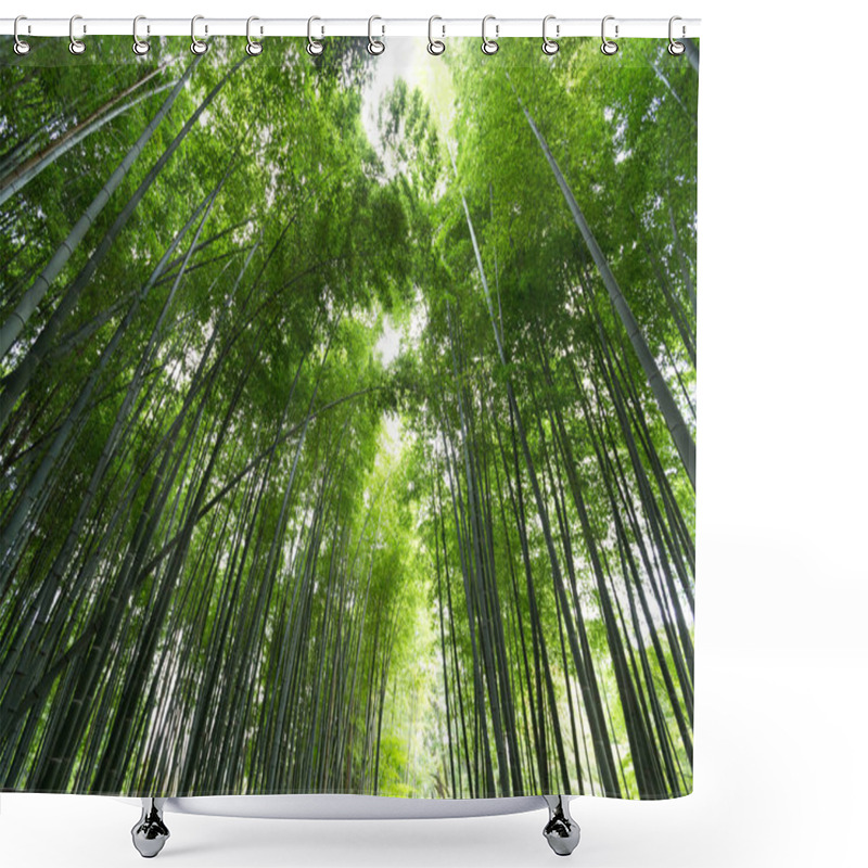 Personality  Arashiyama Bamboo Forest  Shower Curtains