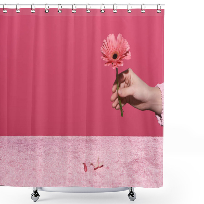 Personality  Cropped View Of Woman Holding Gerbera Near Petals On Velour Cloth Isolated On Pink, Girlish Concept  Shower Curtains