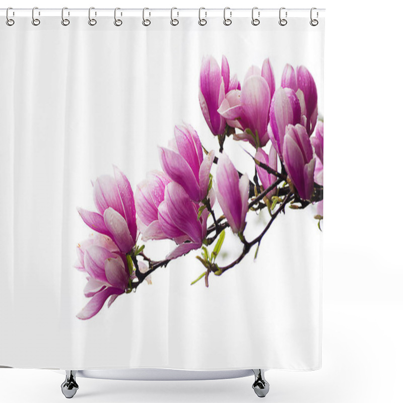 Personality  Large And Delicate Flowers Magnolia  Shower Curtains