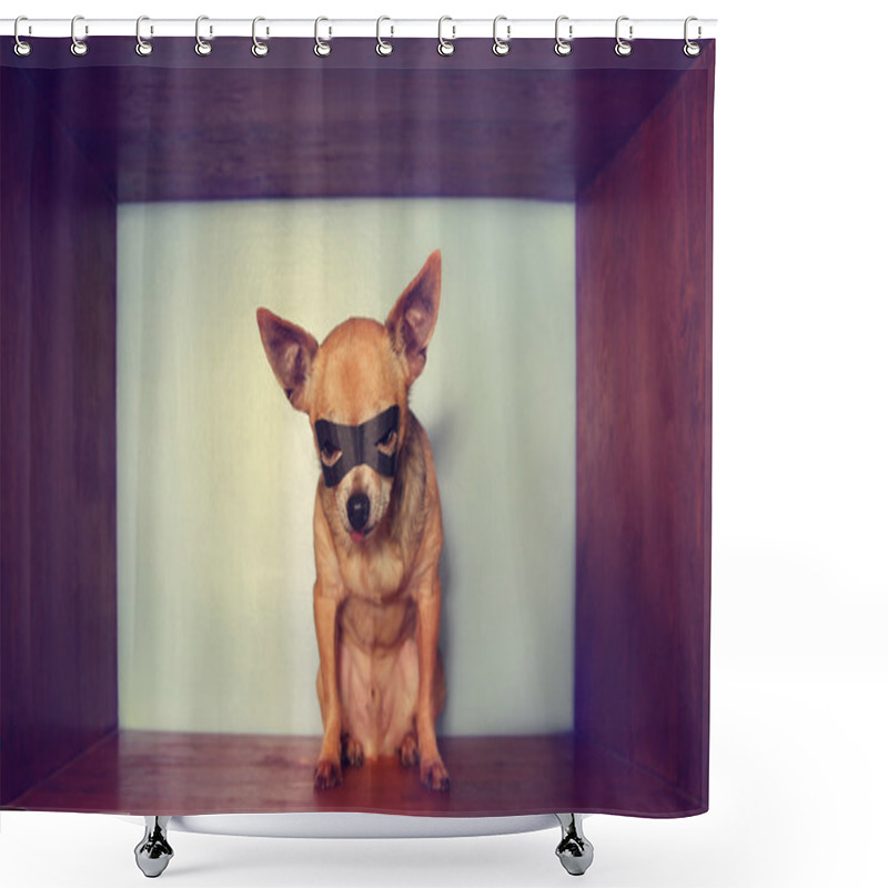 Personality  Chihuahua With Mask Shower Curtains