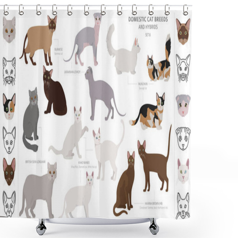 Personality  Domestic Cat Breeds And Hybrids Collection Isolated On White. Fl Shower Curtains