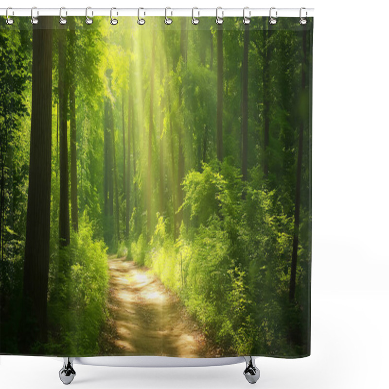 Personality  A Forest Path With Sunlight Shining Through The Trees. The Path Is Surrounded By Trees And The Sunlight Is Creating A Warm And Inviting Atmosphere Shower Curtains