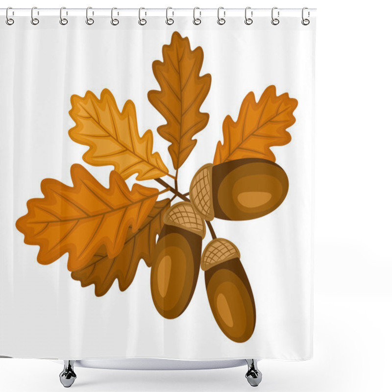 Personality  Oak Branch With Leaves And Acorns. Vector Illustration. Shower Curtains