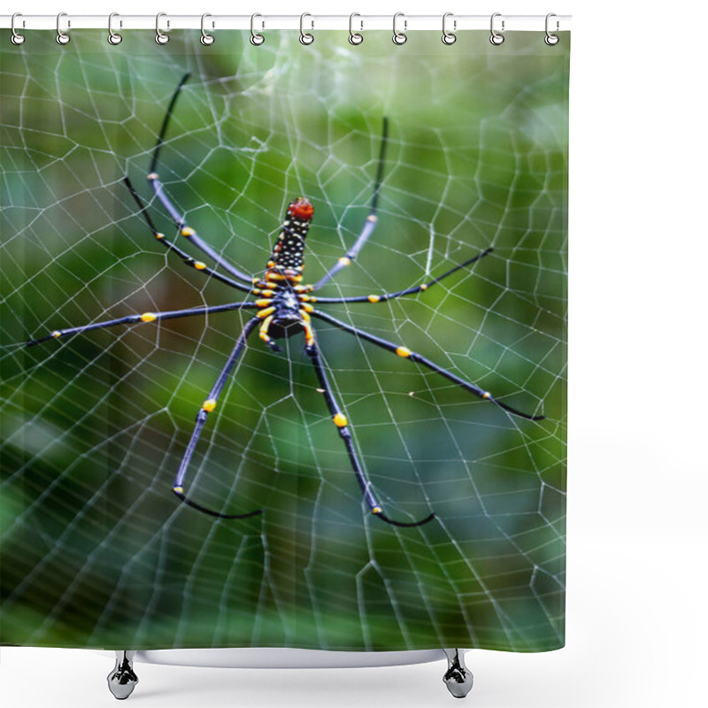 Personality  Detailed Capture Of A Giant Wood Spider Consuming Its Prey On A Delicate Web. Vibrant Colors And Natural Predation Scene, Wulai, Taiwan. Shower Curtains