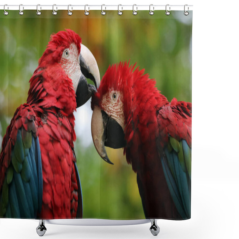 Personality  Beautiful Parrots Macaw Shower Curtains