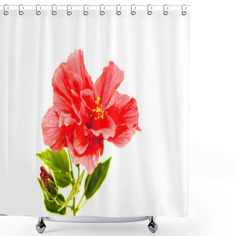 Personality  Red Large Flower Of A Hibiskus On A White Background. Shower Curtains