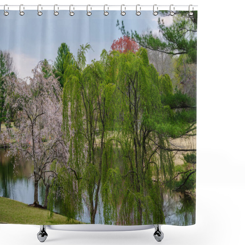 Personality  Photo Of Japanese Cherry Blossom And Weeping Willow Trees Side By Side In Meadowlark Botanical Gardens. Shower Curtains