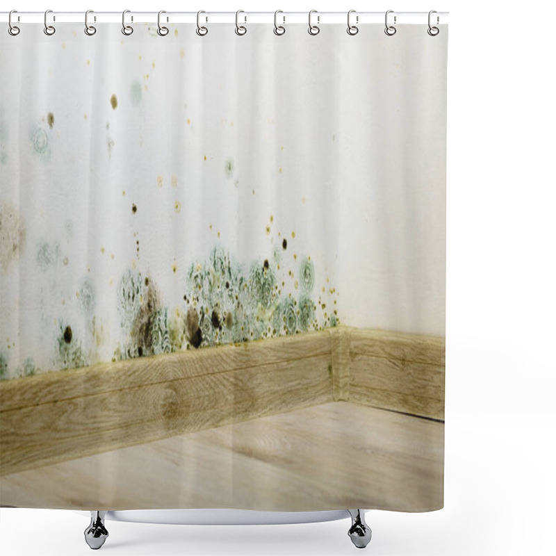 Personality  Mould And Fungus Growth On House Wall. Problem Of Ventilation And Dampness In Home Interior. Shower Curtains