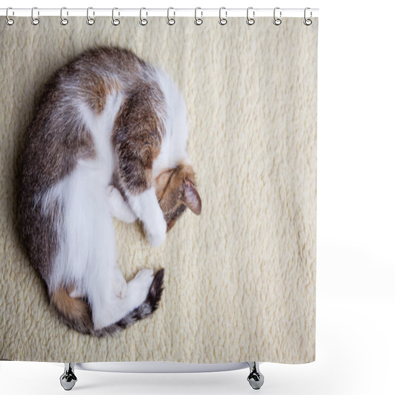 Personality  Relaxing Cat Shower Curtains