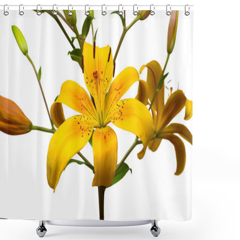 Personality  Yellow Lily Flowers Shower Curtains