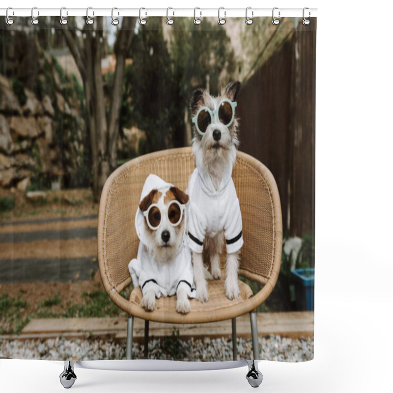 Personality  Two Dogs Going On Vacations Dressed With Bathrobe In A Hotel. Pet Friendly Concept Shower Curtains