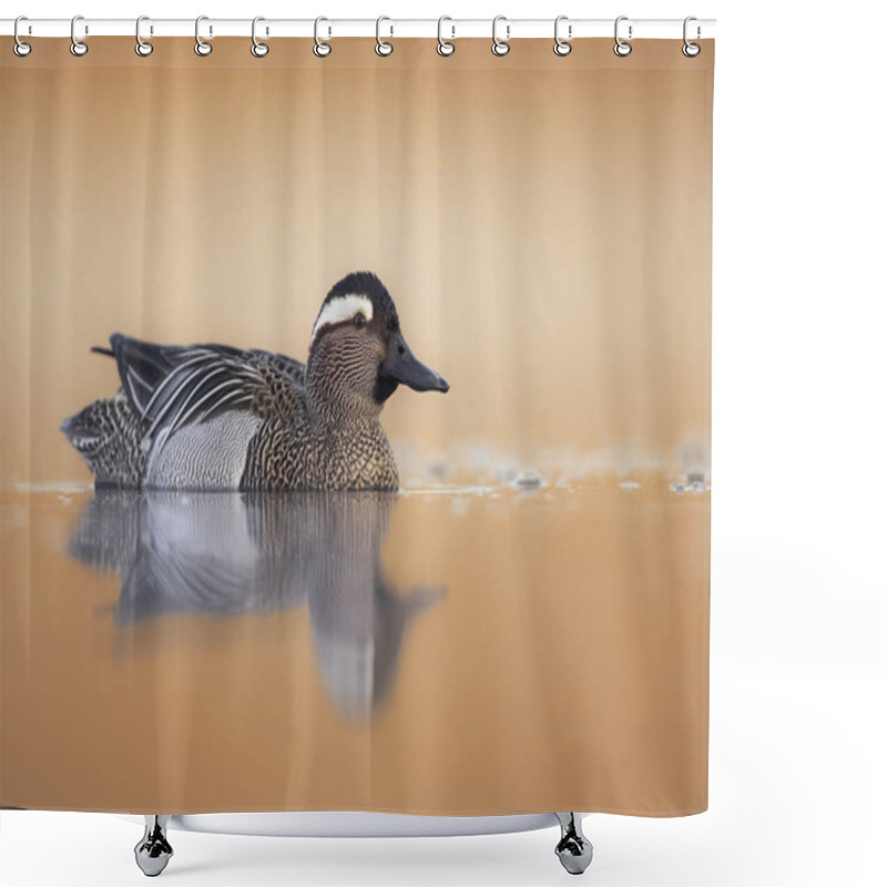 Personality  Garganey Bird ( Spatula Querquedula ) Close Up - Male Shower Curtains