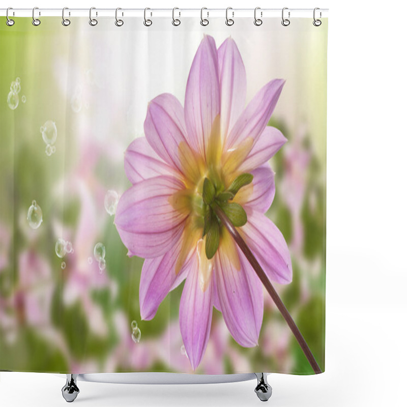 Personality  Exotic Flower. Summer Sunny Nature Shower Curtains