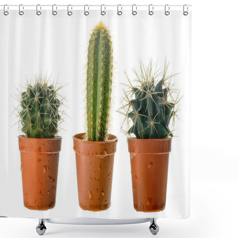 Personality  Set Of Three Cactuses In A Plastic Pot, Side View, Isolated On White Background. Shower Curtains