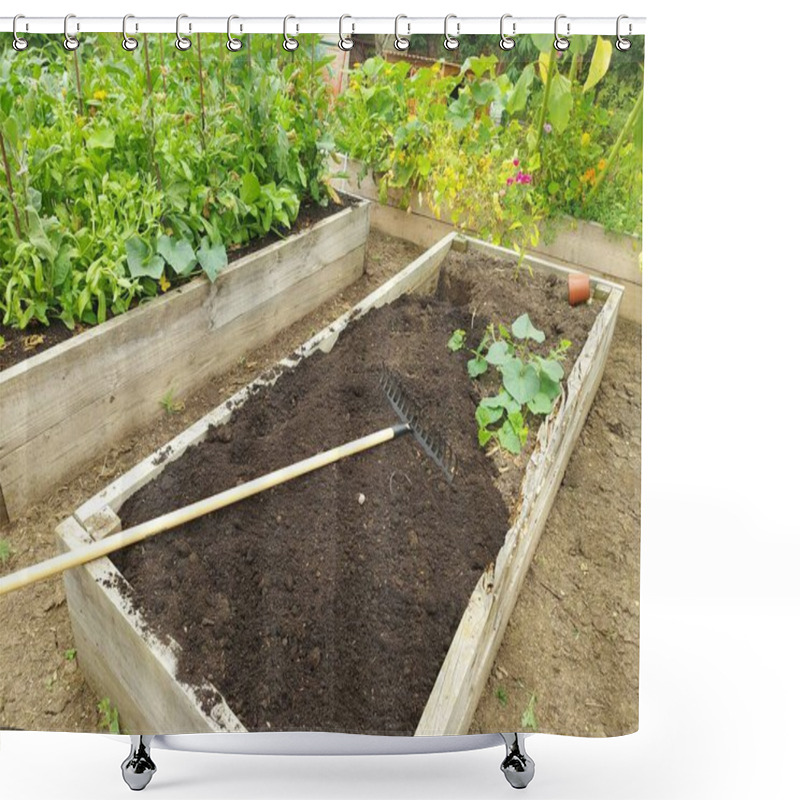 Personality  Preparing A Wooden Bed For Growing In The Backyard Garden. Rake Preparing The Soil For Planting Seeds At Home Shower Curtains