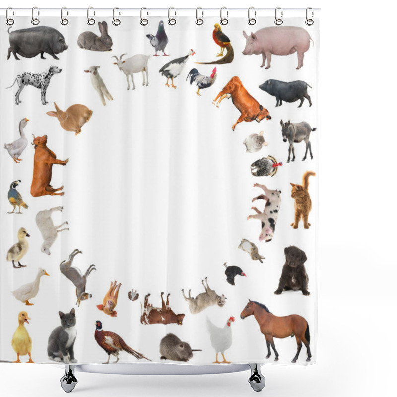 Personality  Collage Of Farm Animals Isolated On White Background Shower Curtains