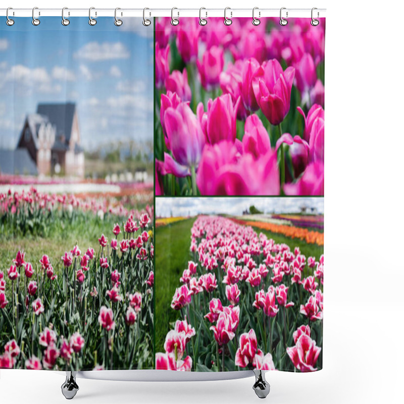 Personality  Selective Focus Of House And Pink Tulips In Field, Collage Shower Curtains