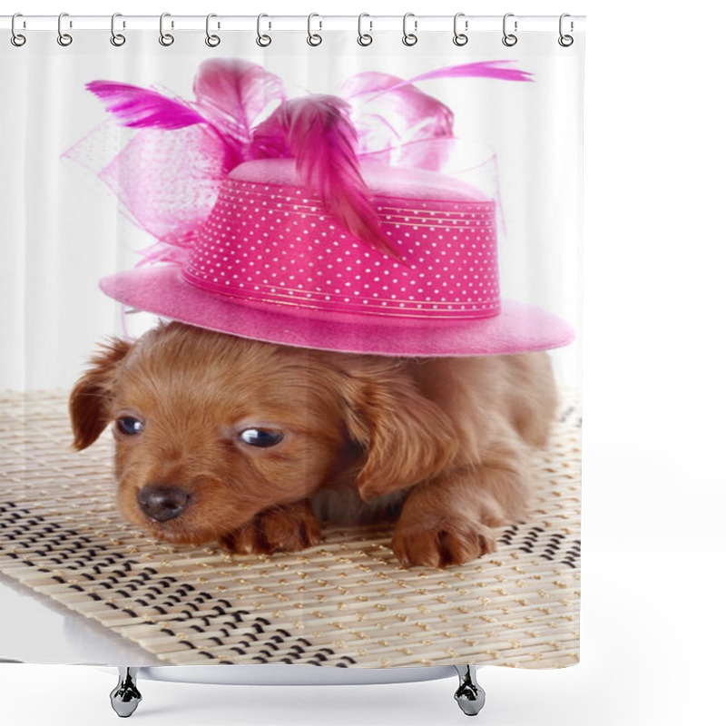 Personality  Puppy In A Hat On A Rug. Shower Curtains