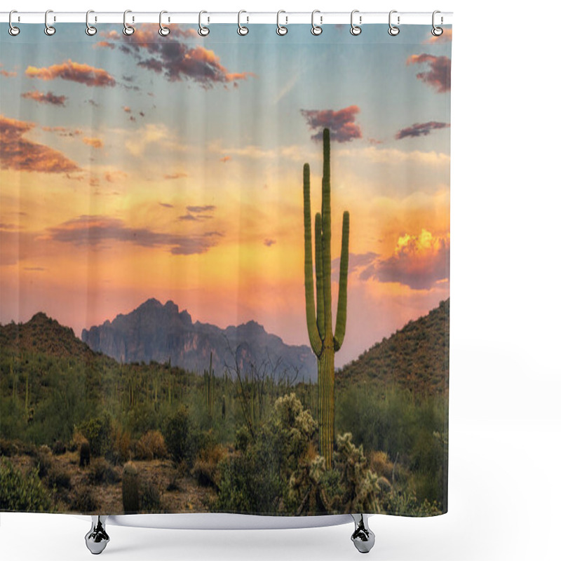 Personality  Saguar Cactus And Superstition Mountain In The Sonoran Desert Near Phoenix, Arizona Shower Curtains