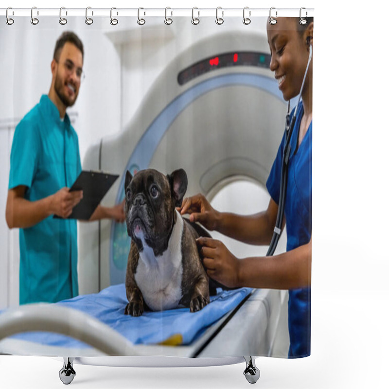 Personality  Working With Animal Patient. Two Veterinarians Examining A Dog Before Investigation Procedures Shower Curtains