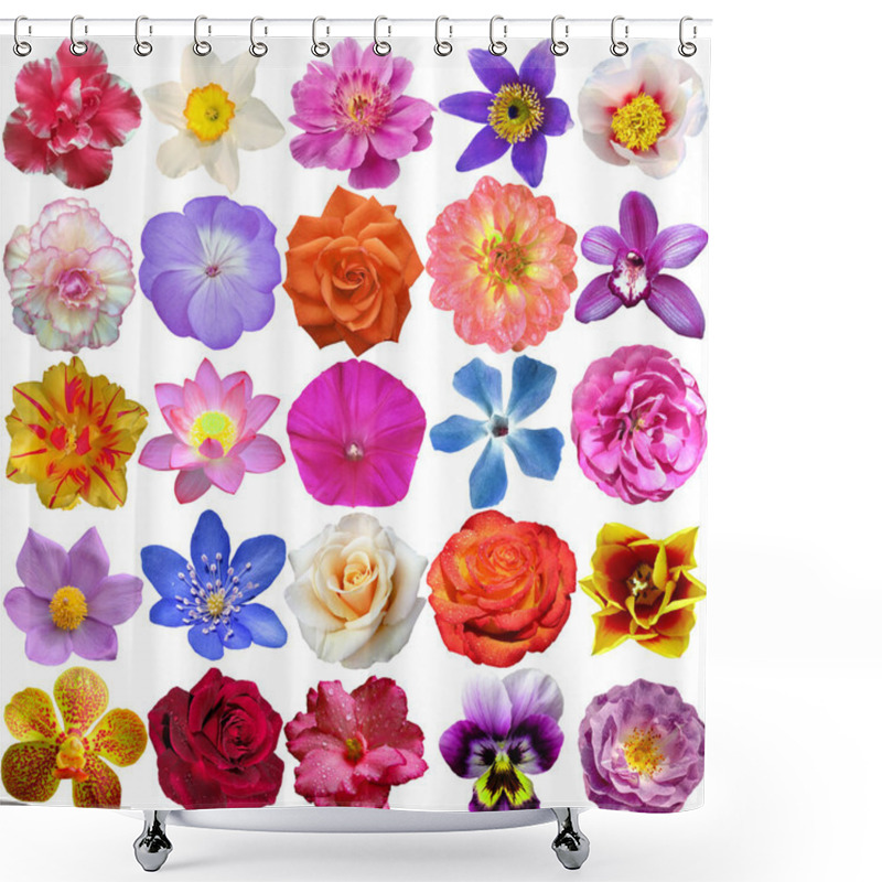 Personality  Set Of Flower Heads Isolated On White Shower Curtains