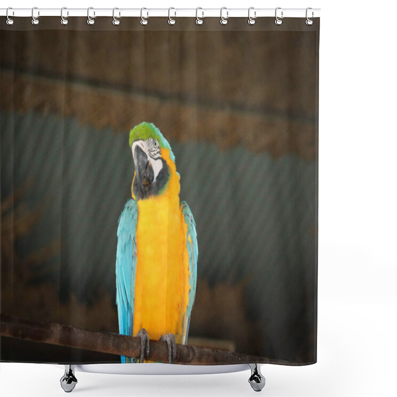 Personality  A Closeup Of A Blue-and-yellow Macaw Bird In Bangabandhu  Safari Park, Gazipur, Bangladesh Shower Curtains