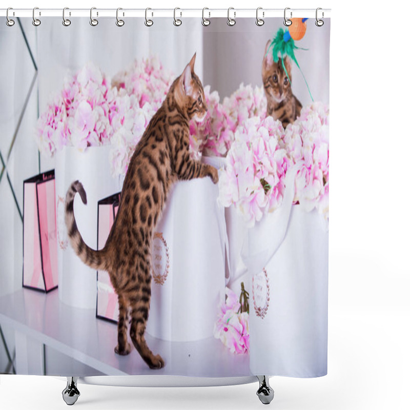 Personality  View Of Bengal Cat Playing At Home  Shower Curtains