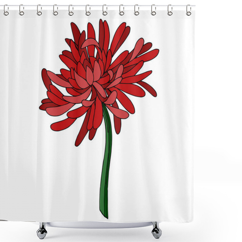 Personality  Vector Chrysanthemum Botanical Flower. Black And White Engraved Ink Art. Isolated Chrysanthemum Illustration Element. Shower Curtains