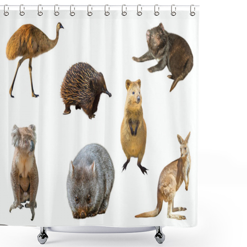 Personality  Australian Animals Isolated Shower Curtains