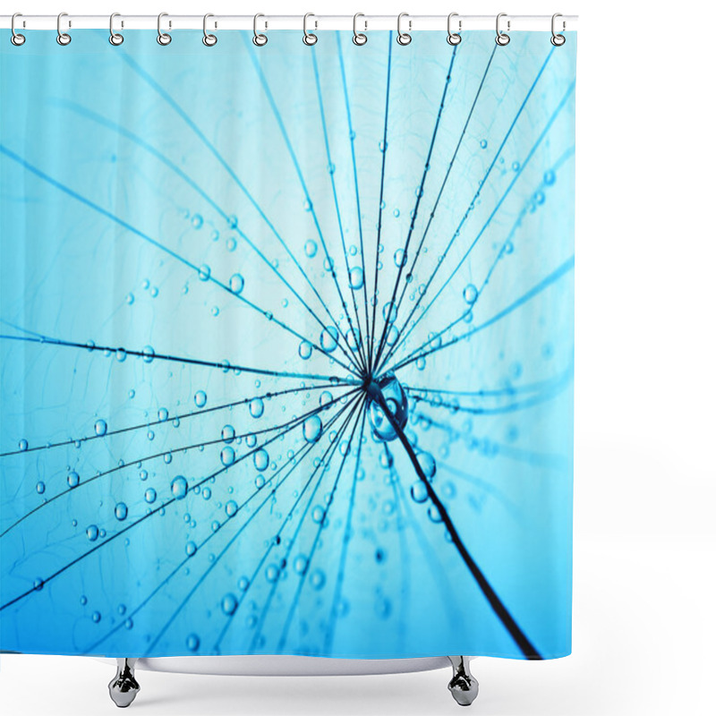 Personality  Dandelion Seeds With Water Drops Shower Curtains