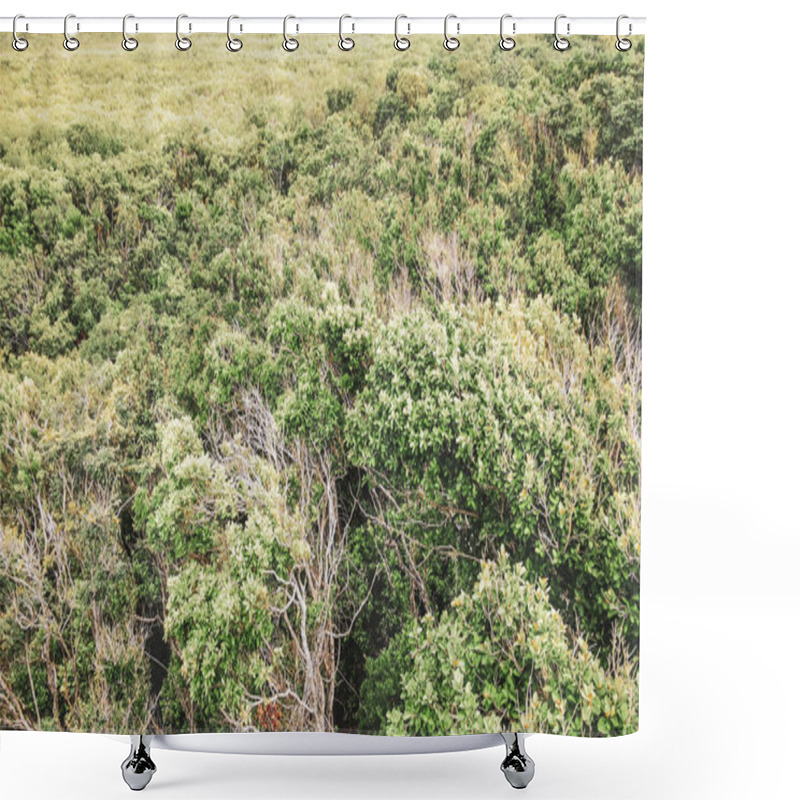 Personality  Green Tropical Jungle And Nature Palm Trees Palms Of Tulum Quintana Roo Mexico. Shower Curtains