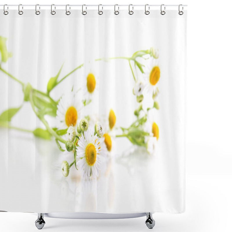 Personality  Daisy Flowers Shower Curtains