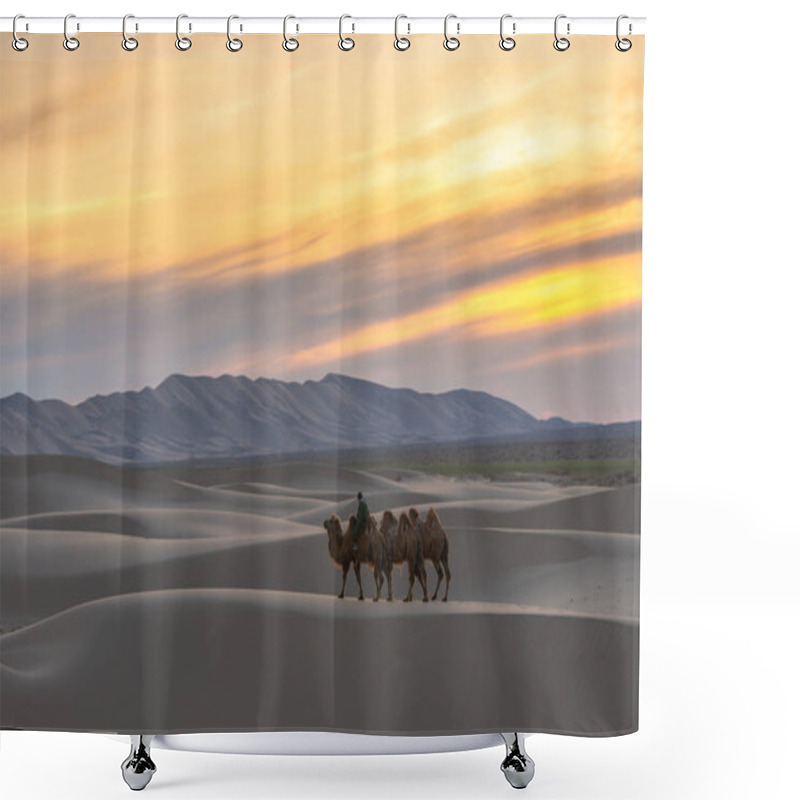 Personality  Camel Going Through The Sand Dunes On Sunrise, Gobi Desert Mongolia. Shower Curtains