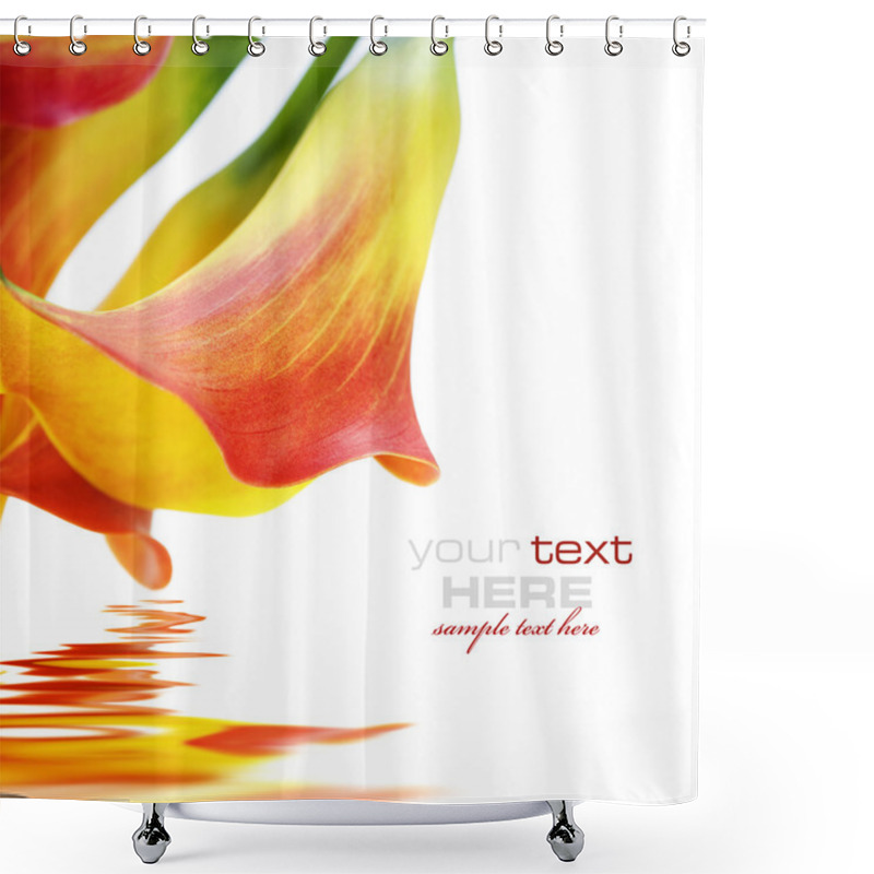 Personality  Callas Shower Curtains