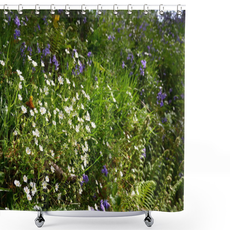 Personality  Wildflowers In Devon Countryside England Shower Curtains