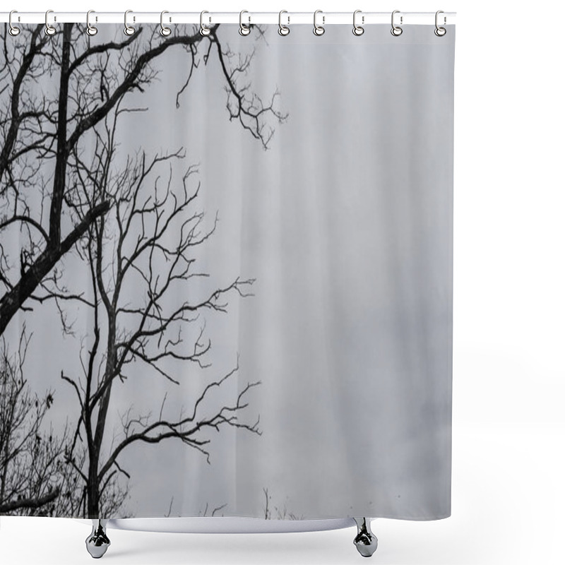 Personality  Branches Of The Tree With The Sky Shower Curtains