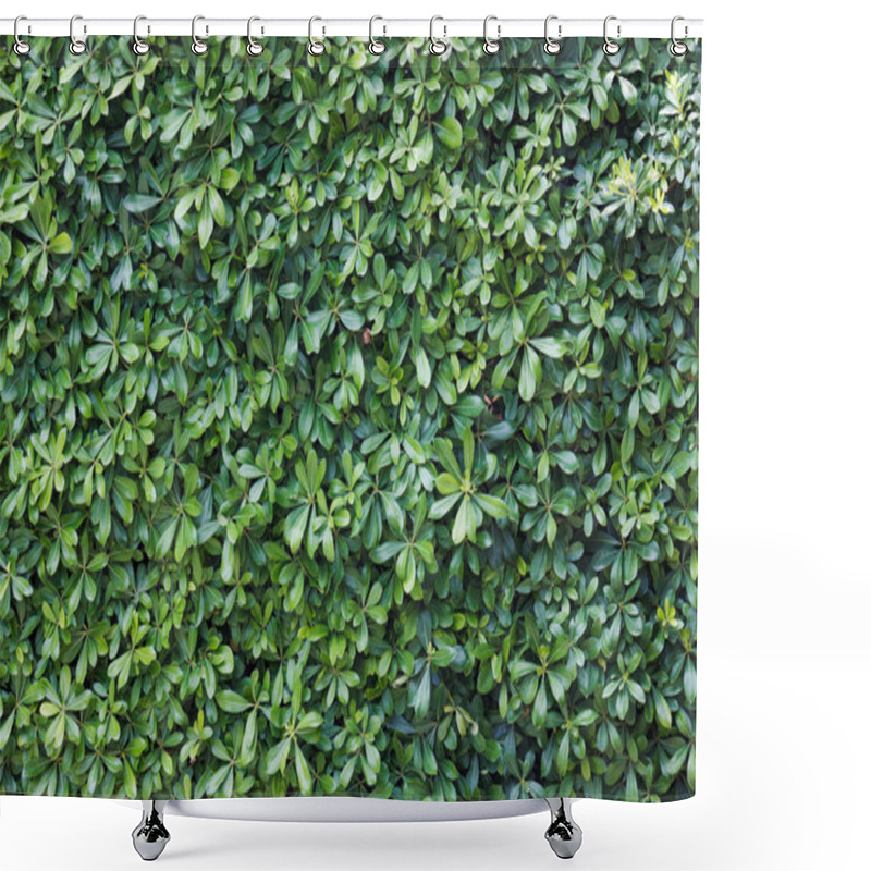 Personality  Green Bush Texture. Shower Curtains