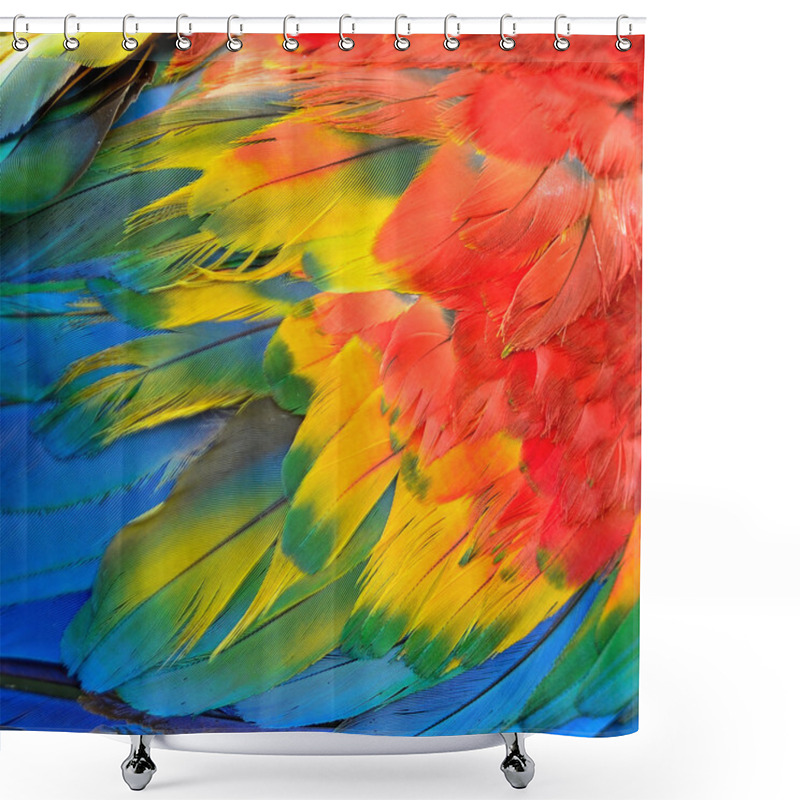 Personality  Scarlet Macaw Feathers Shower Curtains