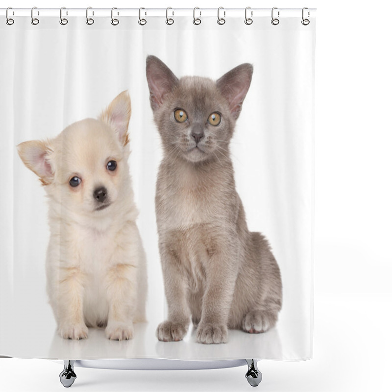 Personality  Puppy And Kitten On White Background Shower Curtains