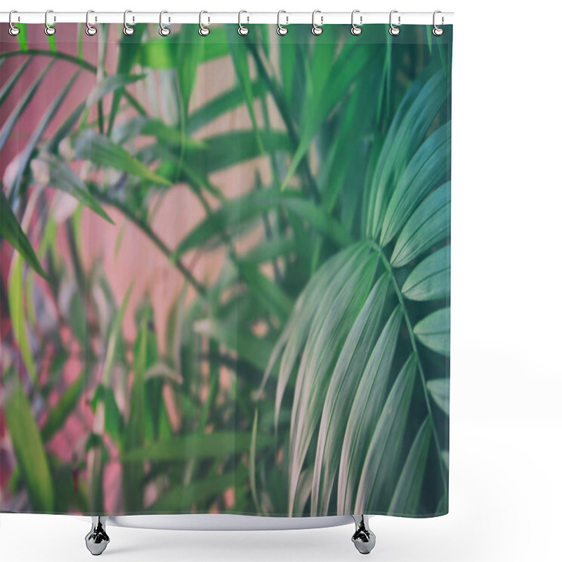 Personality  Tropical Leaves On Pastel Pink Background. Floral Background Shower Curtains