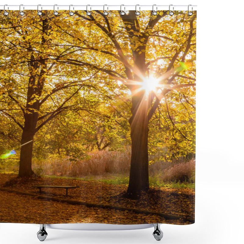 Personality  Autumn Sunny Alley In The Leaves, Through The Trees The Sun Brea Shower Curtains