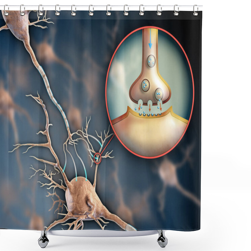 Personality  Neuron Synapse Shower Curtains