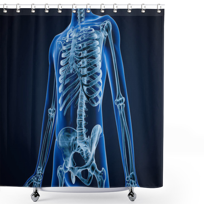 Personality  Anterior Or Front View Of Xray Image Of Accurate Human Skeletal System Or Skeleton With Adult Male Body Contours On Blue Background 3D Rendering Illustration. Anatomy, Osteology Concept. Shower Curtains